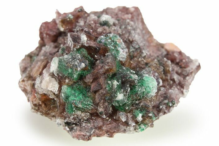 Fibrous Malachite and Selenite on Ferroan Dolomite - Morocco #274356